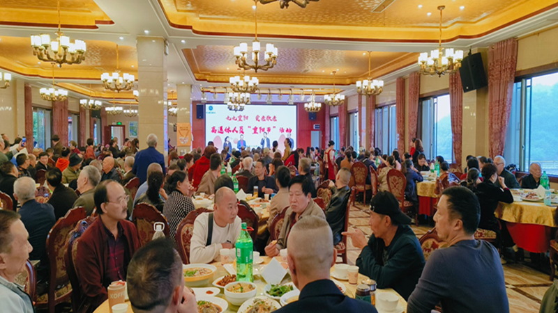 图片1_800.png