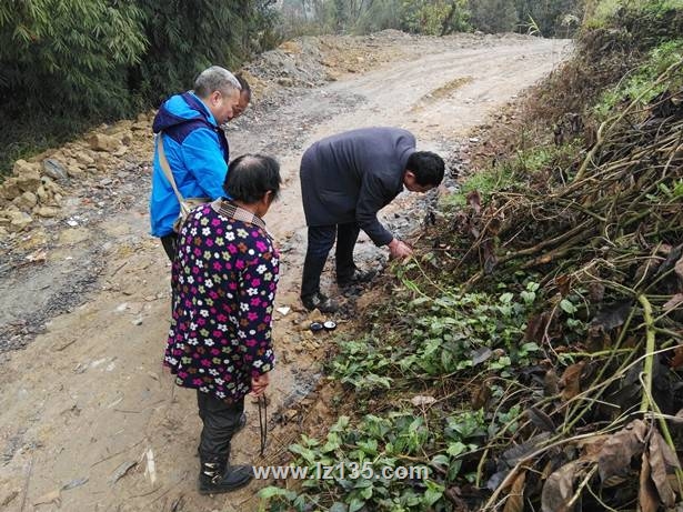 乐山市五通桥区煤矿采空区地质灾害调查项目
