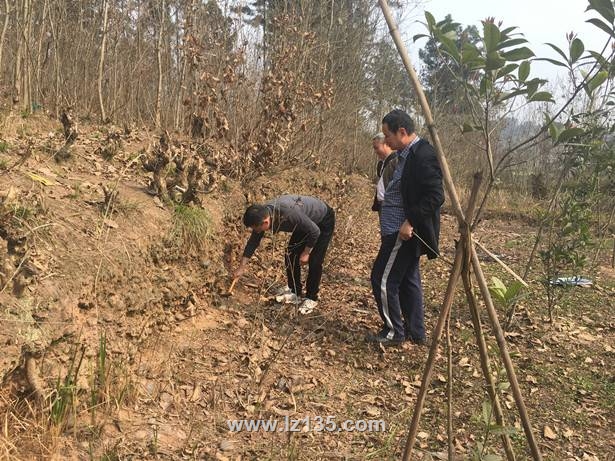 泸县古河床砂卵石矿产资源调查