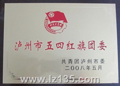 泸州市五四红旗团委