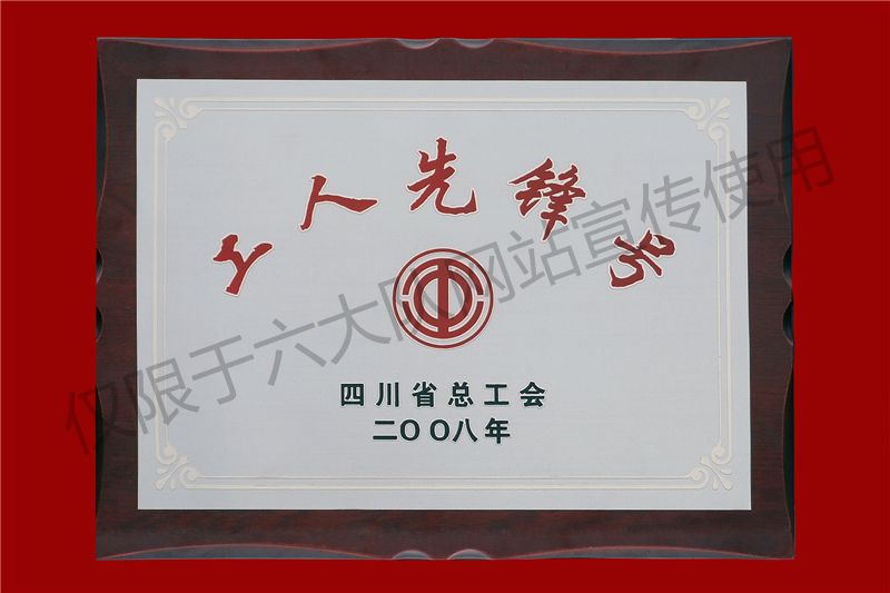 四川省总工会工人先锋号