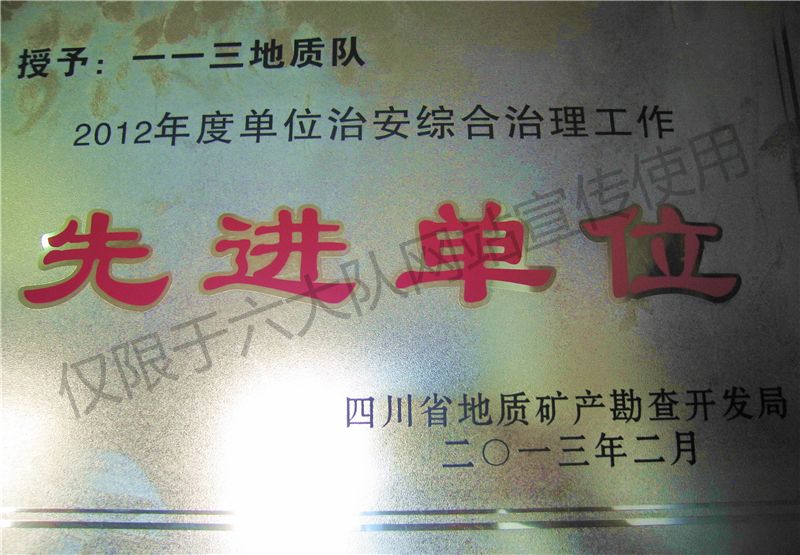 局治安综合治理工作先进单位