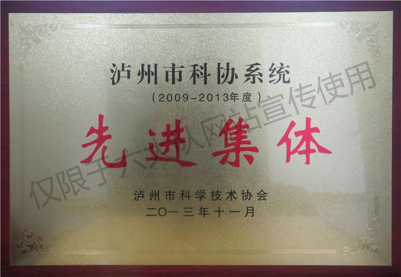 泸州市科协系统先进集体