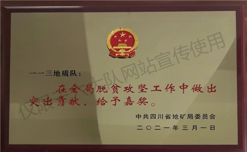  在全局脱贫攻坚工作中做出突出贡献，给予嘉奖