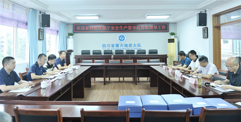 省自然资源厅安全生产督导检查组一行到六大队检查指导工作