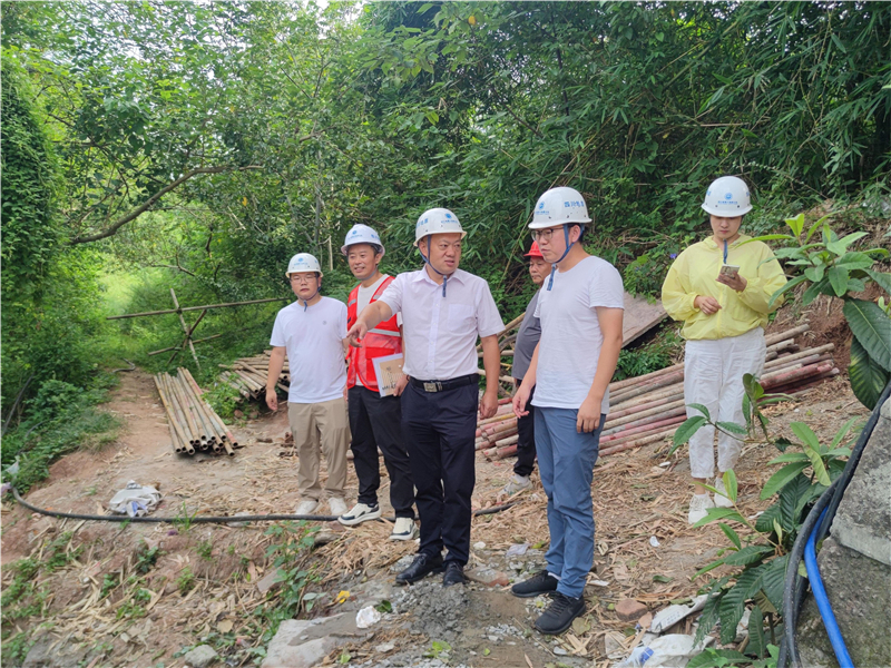 岑学农带队到眉山市青冈乡汤家村卫生院后滑坡治理工程项目检查安全、地灾防治及质量工作 