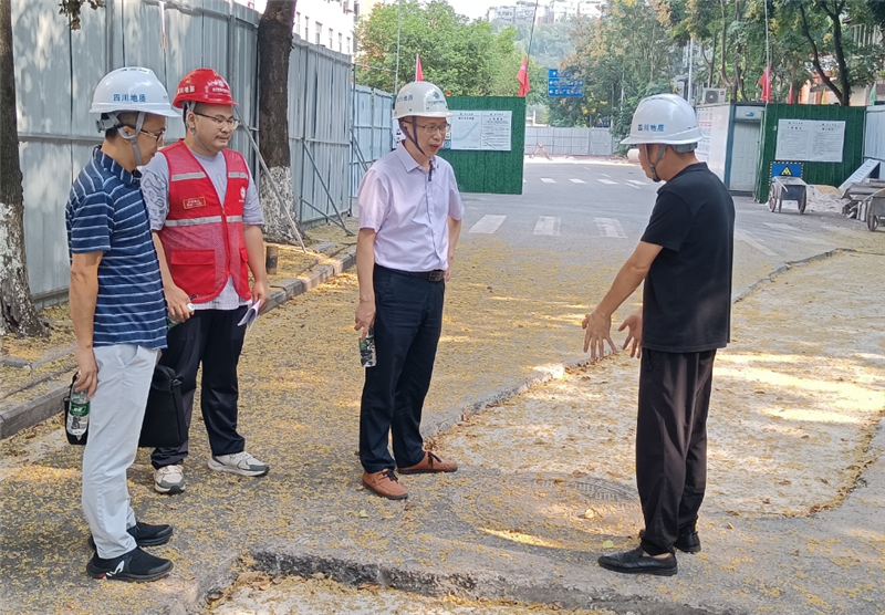 吴永贵带队到龙马潭区驻守督导和道路坍塌应急抢险项目开展安全质量检查