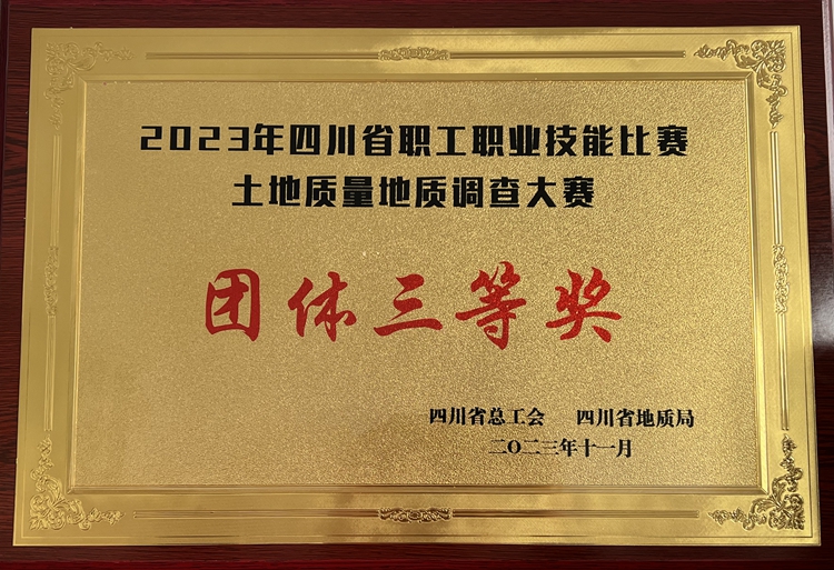 四川省职工职业技能比赛土地质量地质调查大赛团体三等奖