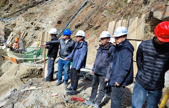 戴敬儒一行到汶川县2024年度地灾治理项目检查指导工作