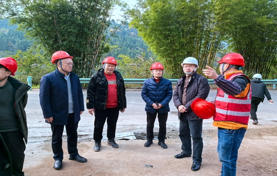 戴敬儒一行赴平昌县云台镇海山社区王家屋聚居点背山崩塌应急治理工程检查指导工作