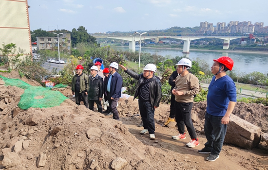 戴敬儒一行到泸州市江阳区边坡堡坎治理工程施工项目检查工作